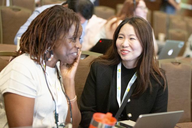 Between Sessions 3 -UNCCD-CRIC23-4Dec2025