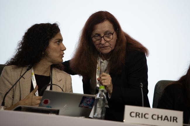 Between Sessions 9 -UNCCD-CRIC23-3Dec2025