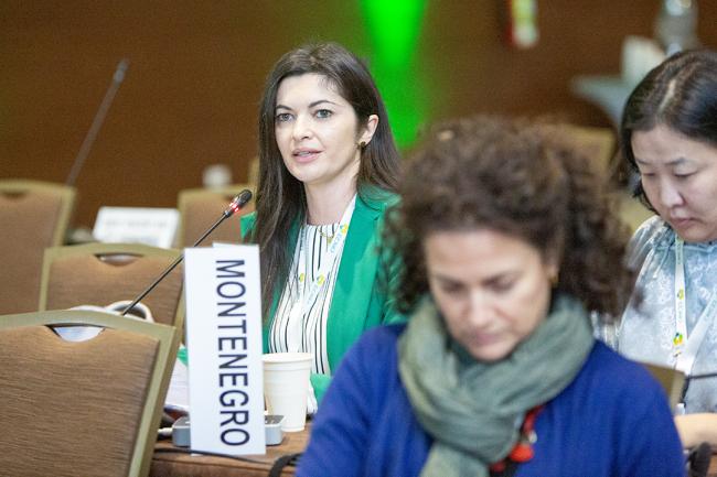 Biljana Kilibarda, Montenegro -UNCCD-CRIC23-1Dec2025