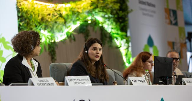 CLosing Plenary -UNCCD-CRIC23-5Dec2025