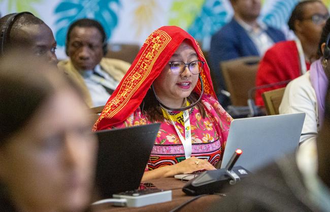 CSO -UNCCD-CRIC23-1Dec2025