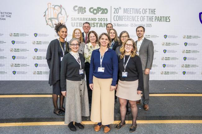 CITES COP20