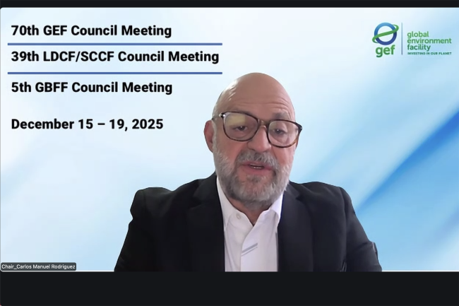 Carlos Manuel Rodríguez, CEO and Chairperson, GEF - GEF70-15Dec