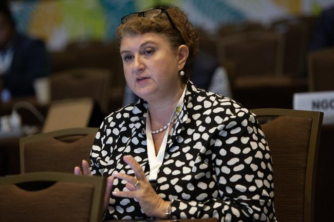 Carol Chouchani Cherfane, ESCWA -UNCCD-CRIC23-3Dec2025