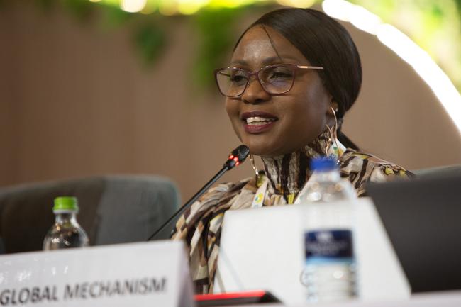 Catherine Mutambirwa, Global Mechanism  -UNCCD-CRIC23-4Dec2025