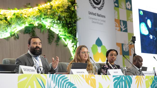 César Luis García, Apacheta -UNCCD-CRIC23-2Dec2025