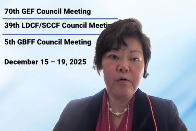 Chizuru Aoki, Manager, Multilateral Environmental Agreements and Funds Division, GEF