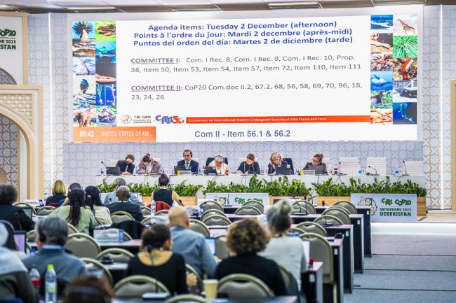 CITES COP20