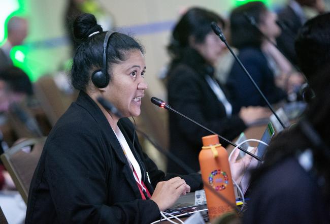 Cook Islands -UNCCD-CRIC23-1Dec2025