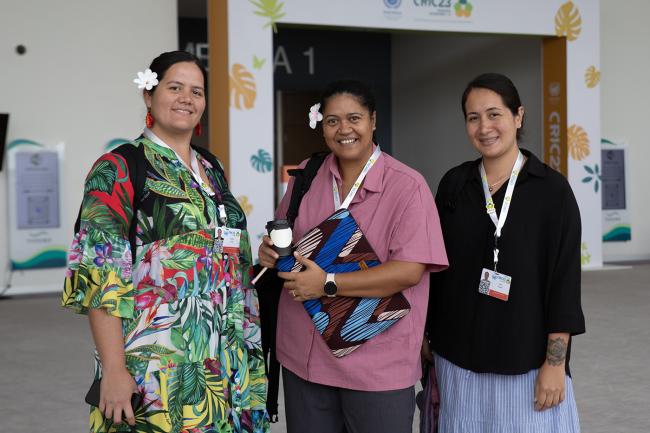 Cook Islands -UNCCD-CRIC23-5Dec2025