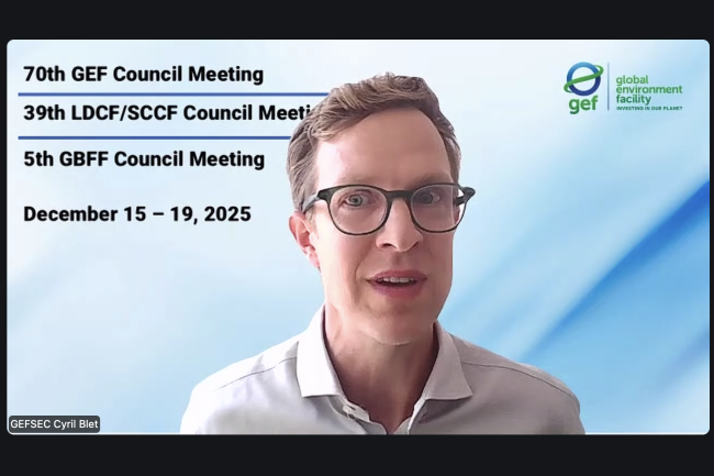 Cyril Blet, GEF Secretariat - GEF70-15Dec