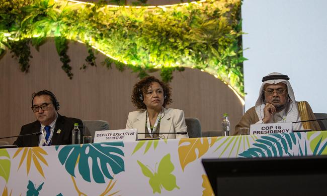Dais 1 -UNCCD-CRIC23-1Dec2025