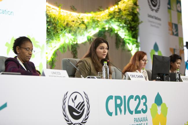 Dais Land Tenure -UNCCD-CRIC23-4Dec2025