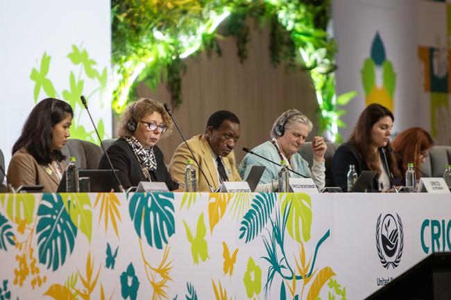 Dais during CRIC23 2nd -UNCCD-CRIC23-1Dec2025