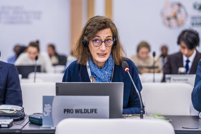 CITES COP20