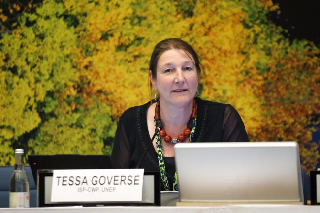 Tessa Goverse, Principal Officer, Science-Policy Panel on Chemicals, Waste and Prevention of Pollution, UNEP 