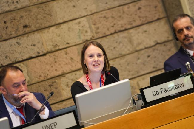 Marie Haraldstad, Norway, Co-Facilitator of Cluster A 