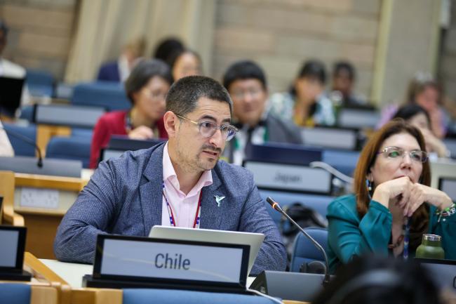 Gonzalo Guaiquil, Chile 