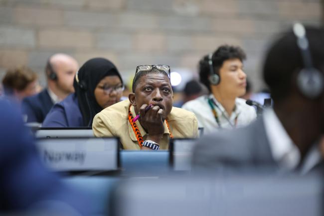 Delegates listen to the discussions. 