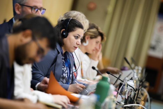 Sara Elkhouly, Egypt, Co-Facilitator of Cluster B 