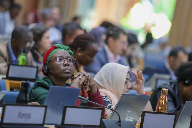 Delegates listen to the discussions. 