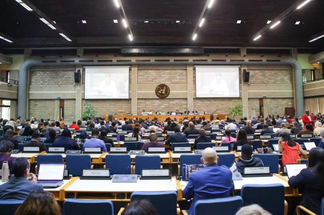 A view of the room during the plenary 