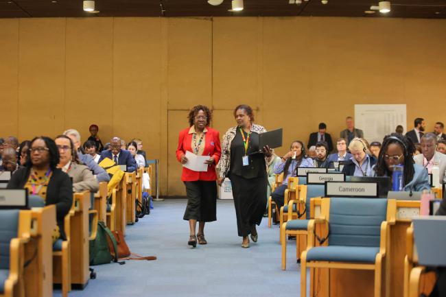 Delegates walk into the plenary room