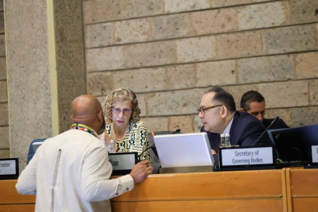 Inger Andersen, Executive Director, UNEP, and OECPR-7 Chair Sultan Hajiyev, Azerbaijan, discuss with a delegate. 