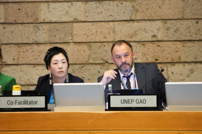 Kanako Okano, Japan, Co-Facilitator of Cluster A, and Juan Carlos Vasquez Murillo, Deputy Secretary, Governing Bodies, and Deputy Director, Governance Affairs Office, UNEP