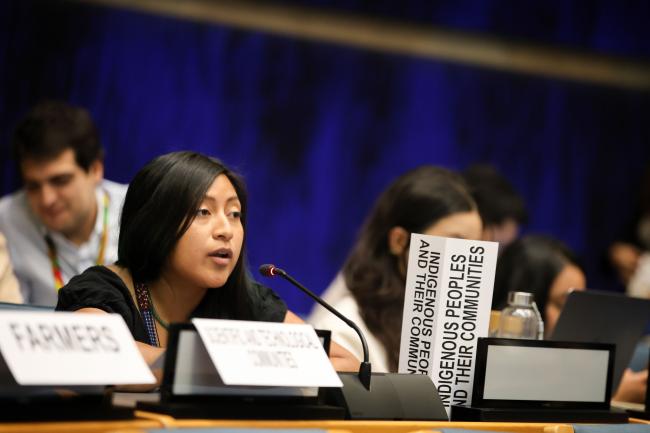 Erika Xananine Calvillo Ramirez, Indigenous Peoples and their Communities