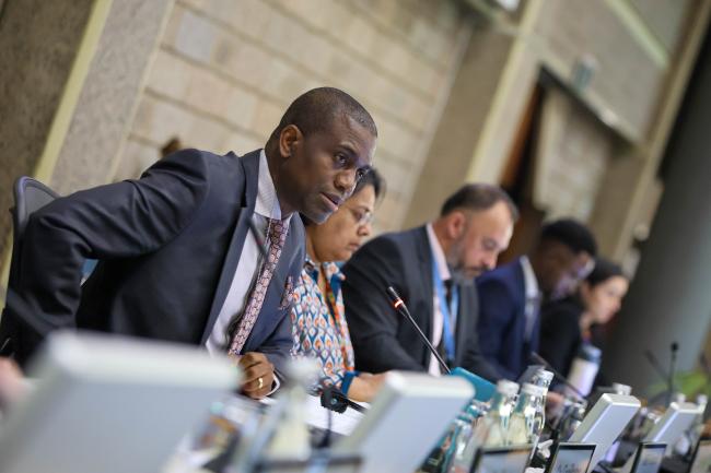 Ontumetse Ontumetse, Botswana, Co-Facilitator of Cluster C 