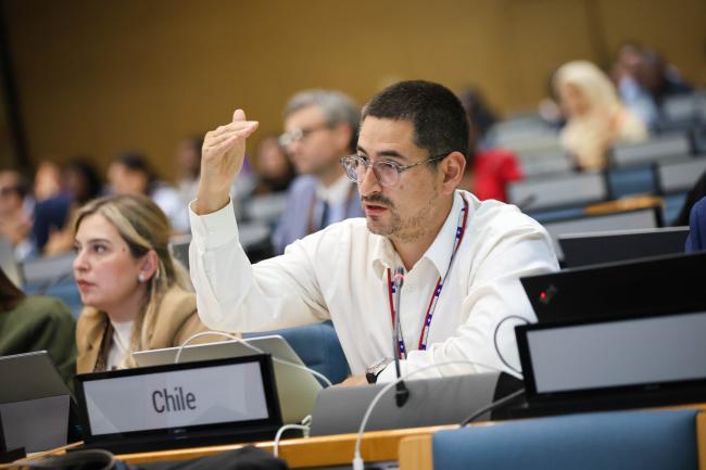 Gonzalo Guaiquil, Chile