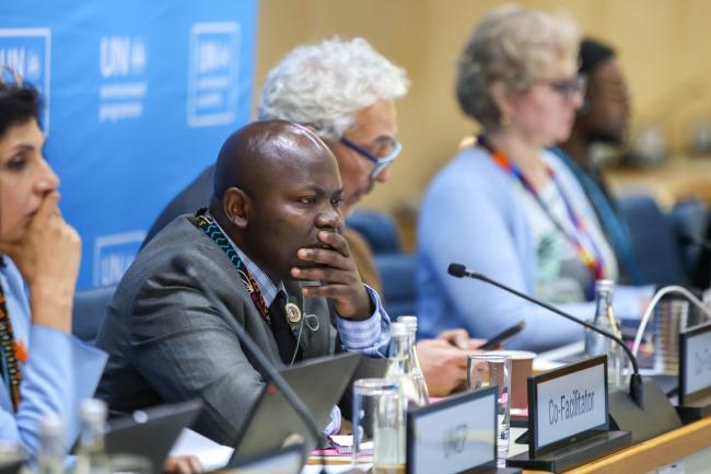 Tobias Ogweno, Kenya, Co-Facilitator of Cluster D 