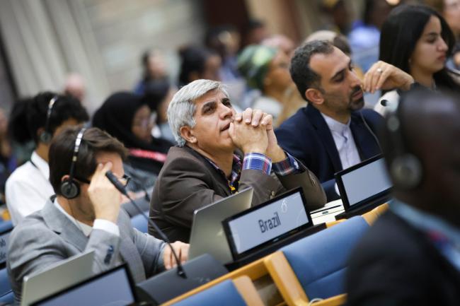Ali Ansari, Iran