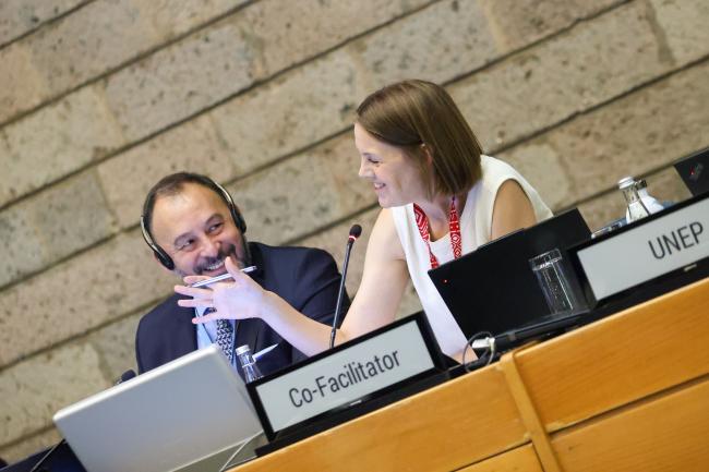 Marie Haraldstad, Norway, Co-Facilitator of Cluster A 