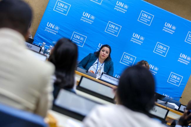 Sara Elkhouly, Egypt, Co-Facilitator of Cluster B