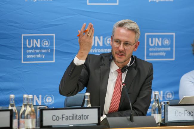 Martin Röw, Germany, Co-Facilitator of Cluster B