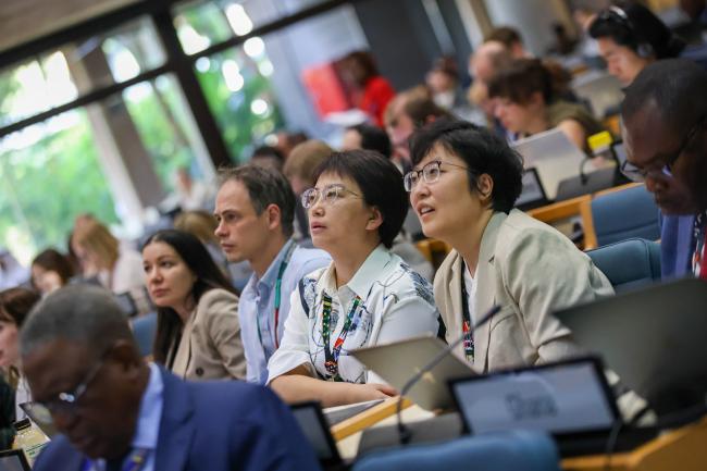 Delegates from China
