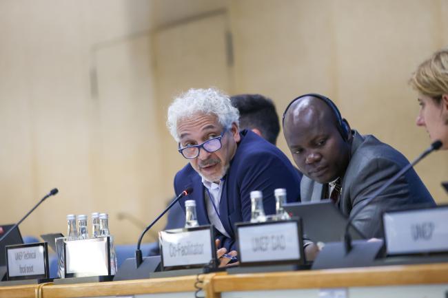 Nader Al-Tarawneh, Jordan, Co-Facilitator of Cluster D 