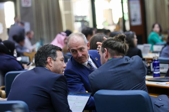 Delegates consult during Cluster D 
