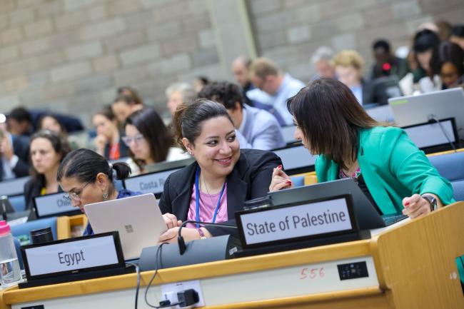 Sara Elkhouly, Egypt, Co-Facilitator of Cluster B, and Dima Arqan, State of Palestine