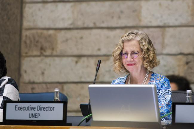 Inger Andersen, Executive Director, UNEP 