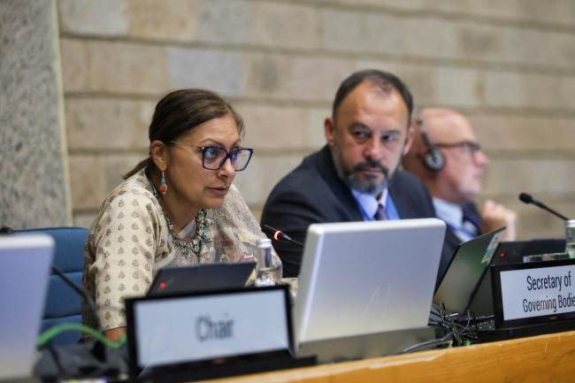 Radhika Ochalik, Secretary, Governing Bodies and Stakeholders, UNEP 