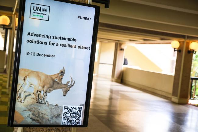 UNEA7 next week 