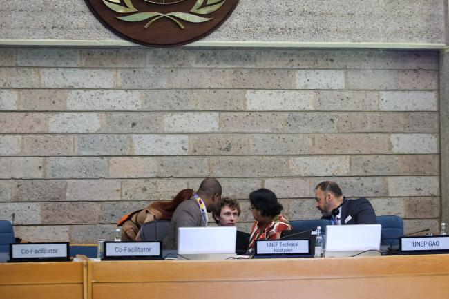 Cluster C Co-Facilitators consult with members of the Secretariat. 