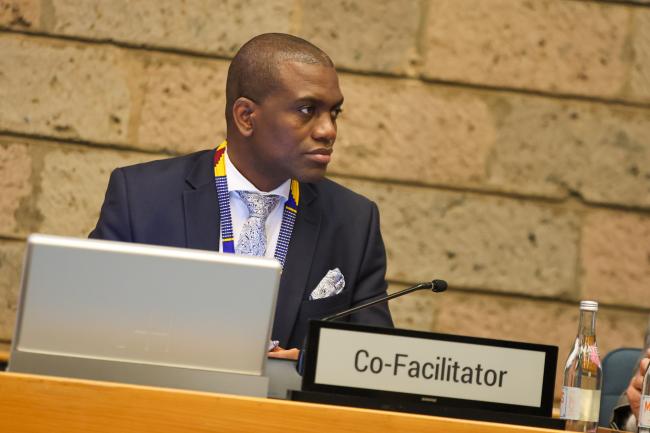 Ontumetse Ontumetse, Botswana, Co-Facilitator of Cluster C 