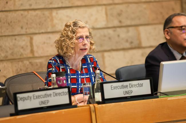 Inger Andersen, Executive Director, UNEP 
