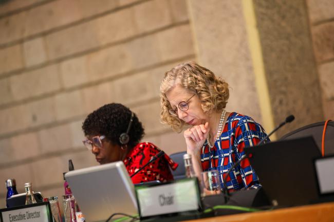 Inger Andersen, Executive Director, UNEP