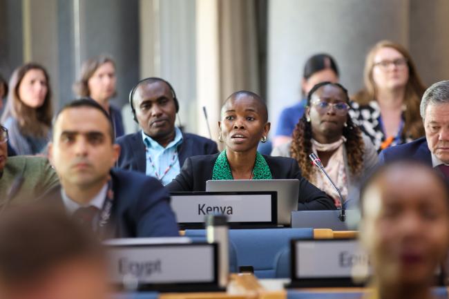  Kenya 