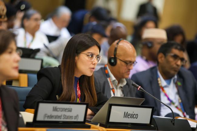 Astrid Cerón Padilla, Mexico